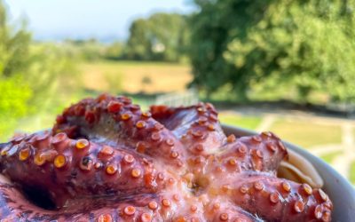 Macaroane cu caracatita