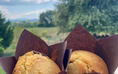 Muffins rapide